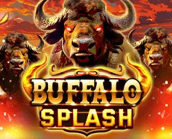 Buffalo Splash