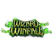 Wizard WinFall 94.03