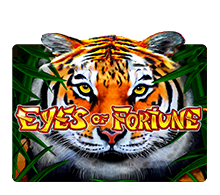 Eyes of Fortune3006071