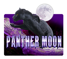 Panther Moon