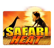 Safari Heat