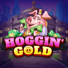 Hoggin' Gold
